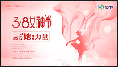 【宏電新聞】致敬“她”力量——宏電環保集團舉行女神節活動
